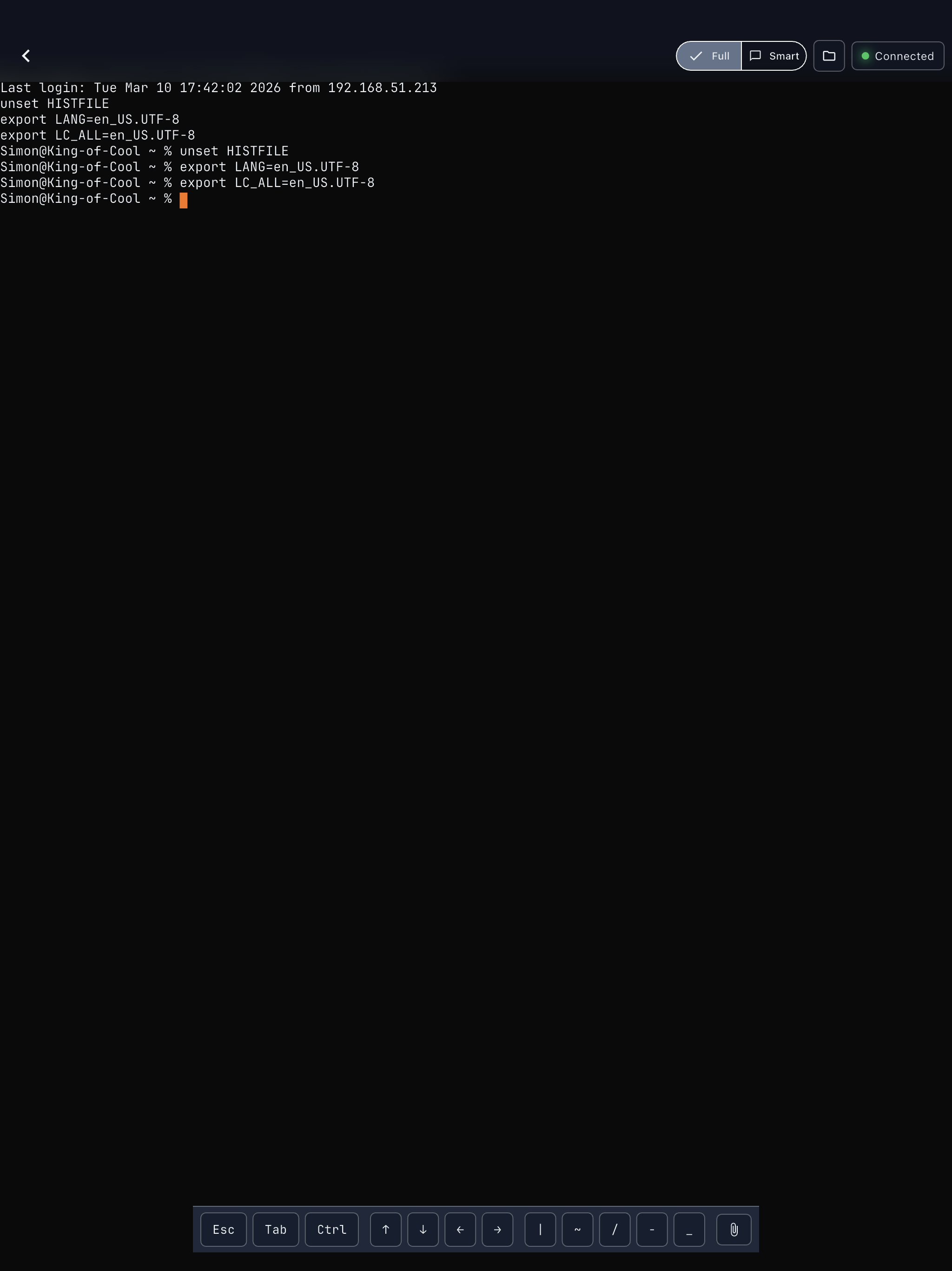 Terminal emulator on iPad