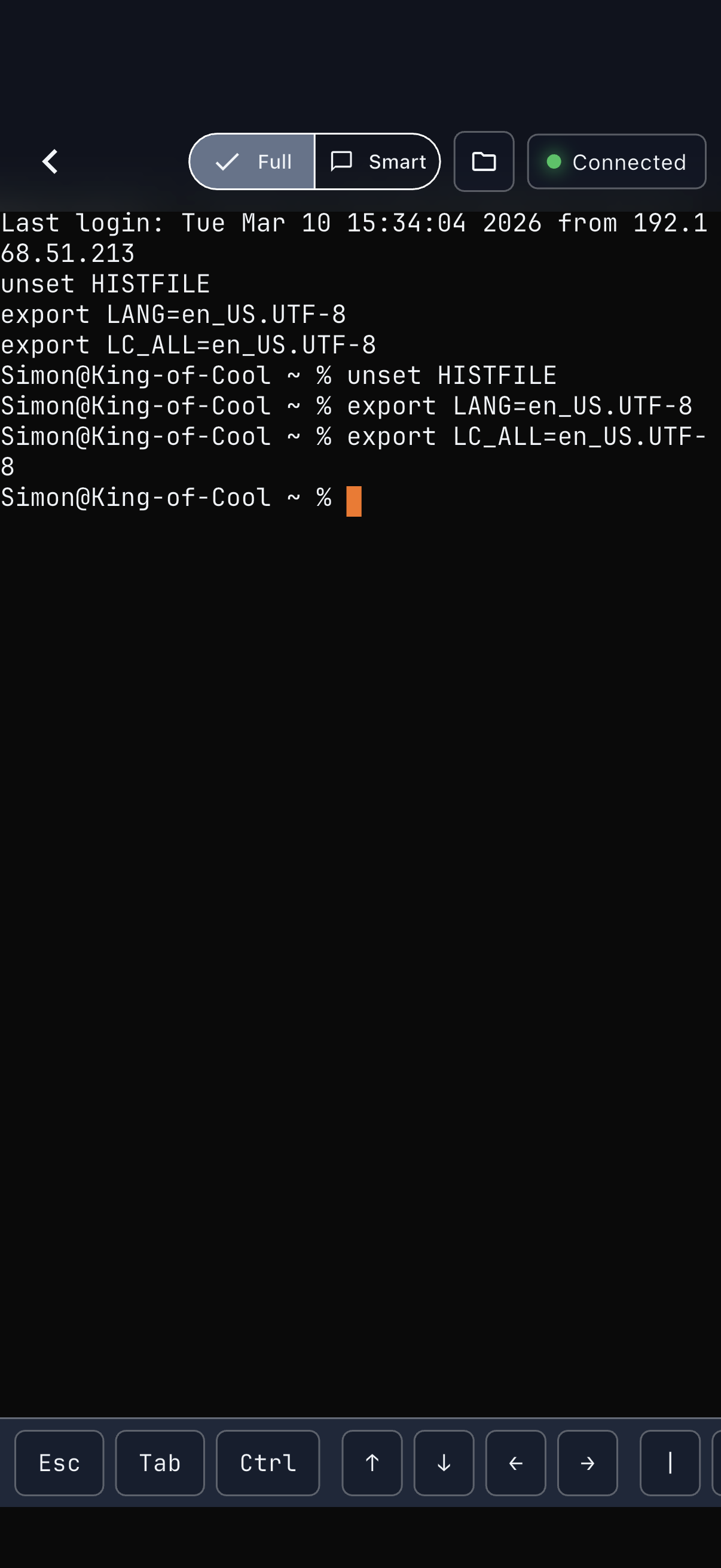 Terminal emulator on iPhone